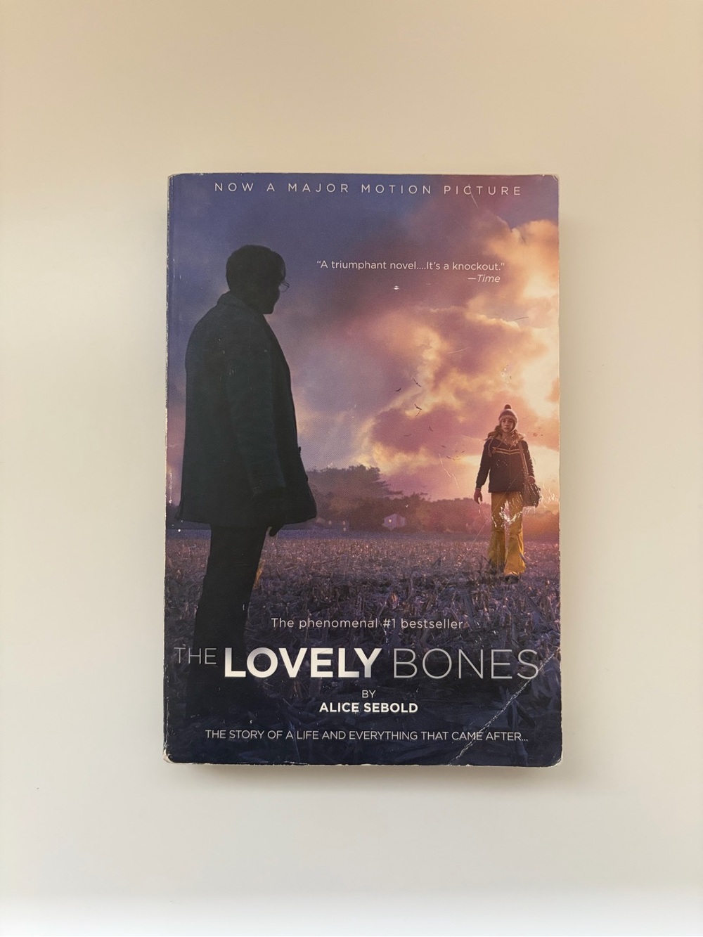 The Lovely Bones by Alice Sebold